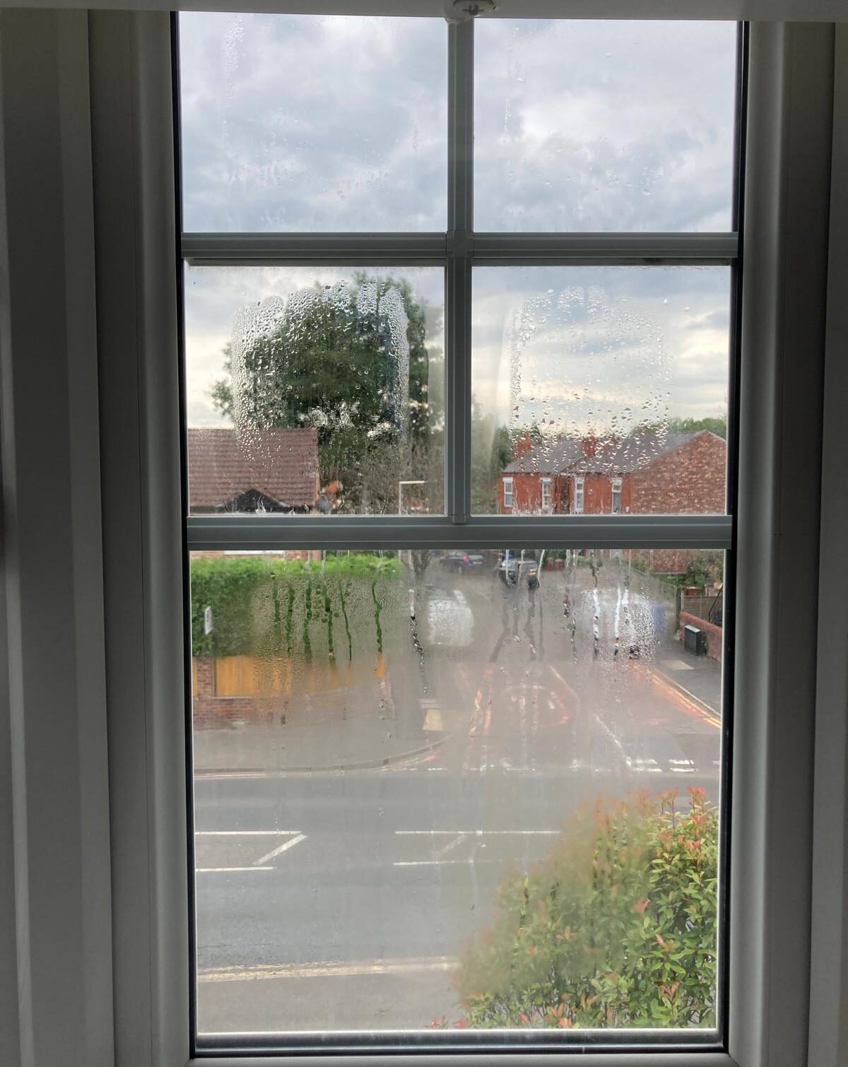 WhatsApp Image 2026-01-20 at 9.42